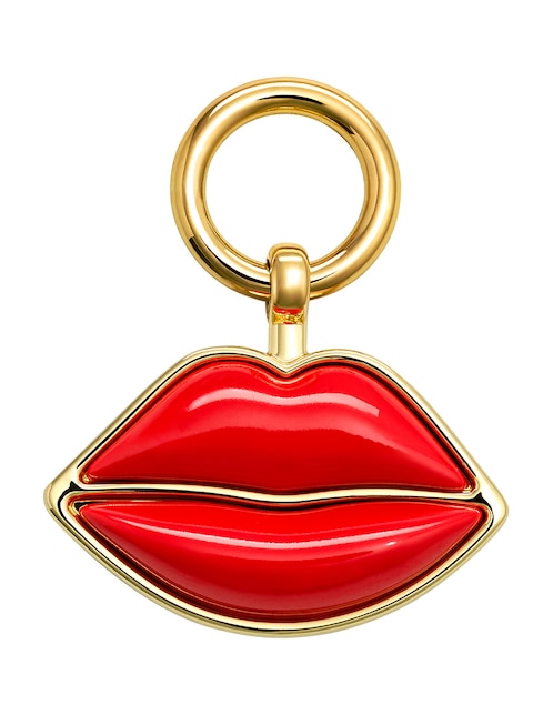 Charm 1