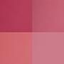FUCSIA 1
