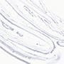 TRANSPARENTE 1
