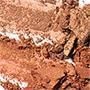 BICOLOR 1
