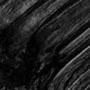 NEGRO 1