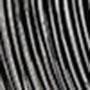 NEGRO 1