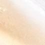 Transparente 1