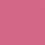 BLUSHING PINK 2