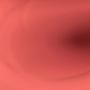 Rosa radiante 7