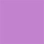 063 PINK LILAC 2