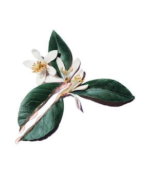 Crema facial recomendada para prevenir signos de la edad de día y noche Yves Saint Laurent Beauty Pure Shots para todo tipo piel