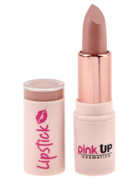 Labial Mate Pink Up Cosmetics