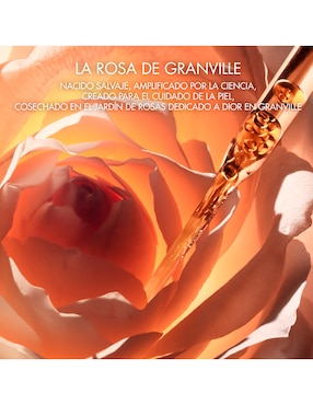 Sérum antiedad facial La Micro-Huile de Rose Activated 50ml Dior Dior Prestige todo tipo piel