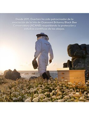 Set tratamiento para cuero cabelludo Beille Royale Scalp & Hair Youth Ritual - De Tratamiento fortalecedor Guerlain Abeille Royale