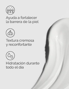 Tratamiento facial Crema Hidratante Natural Moisturizing Factors + PhytoCeramides 10 ml The Ordinary