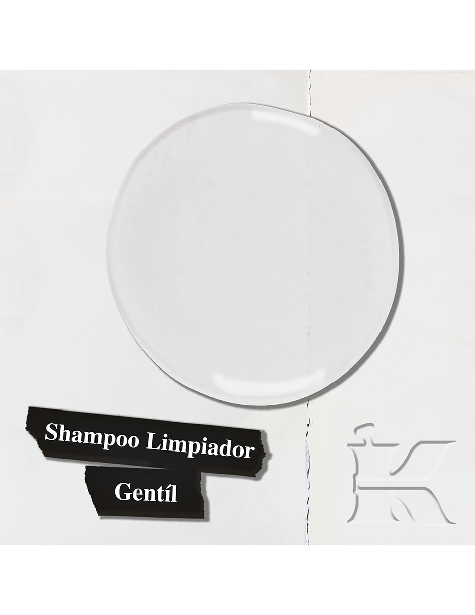 Shampoo para cabello Amino Acid 1 L 2
