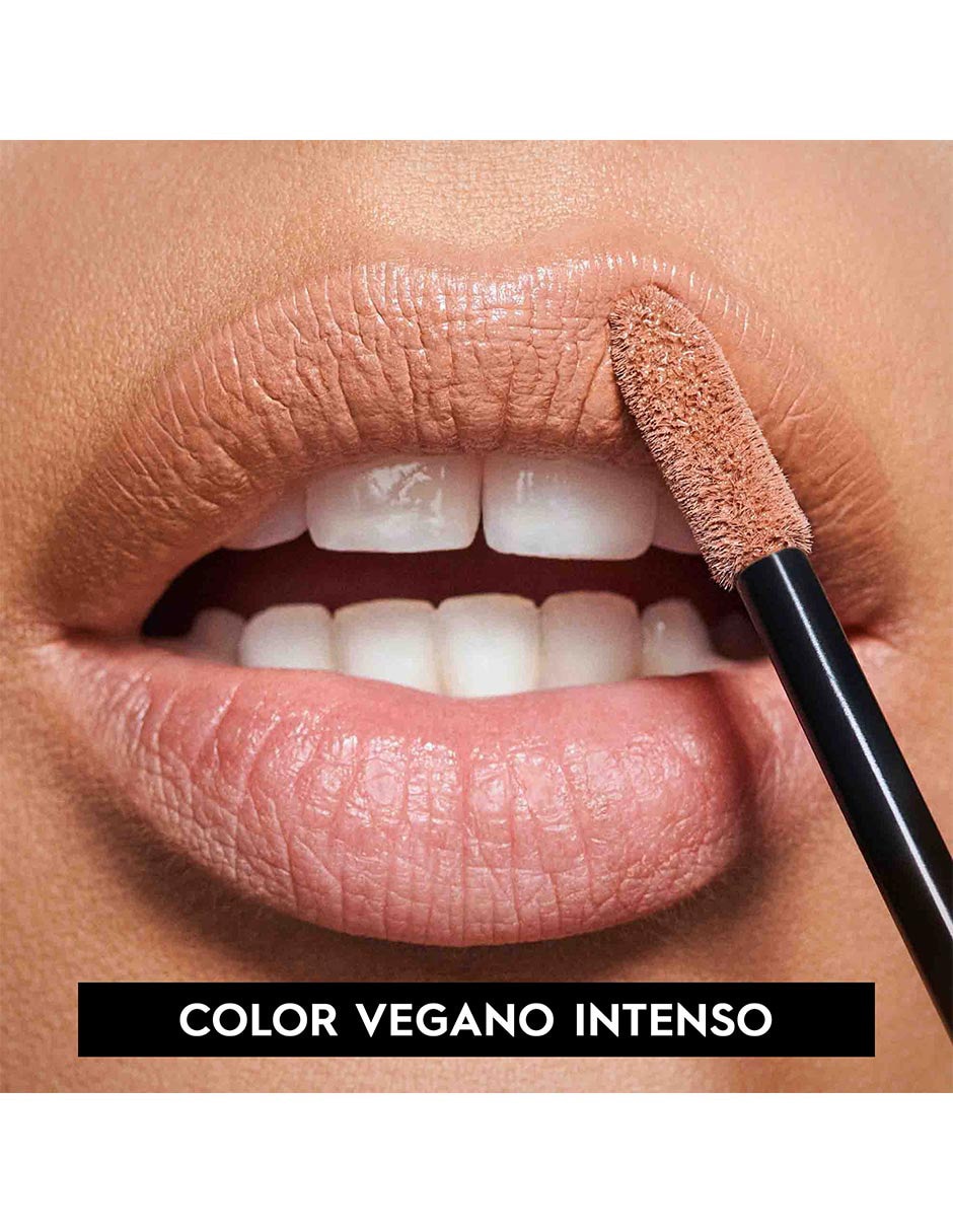 Labial Mate Urban Decay Vice