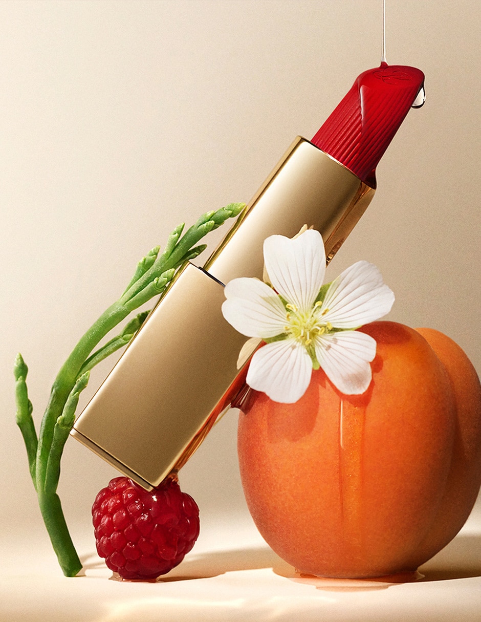 Labial natural Pure Color 2