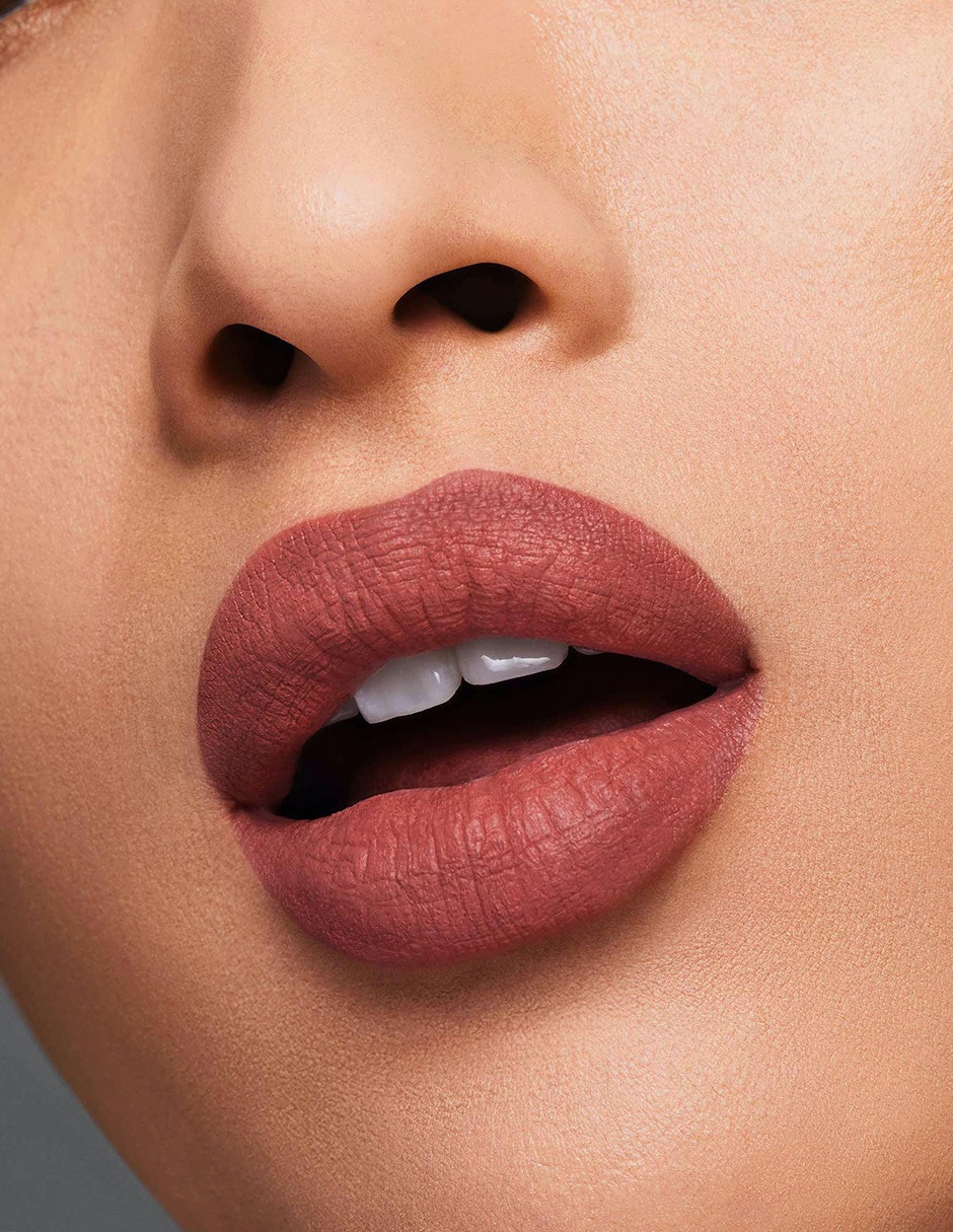 Labial mate Pure Color 2