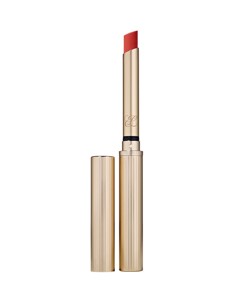 Labial mate Pure Color Labial mate Pure Color