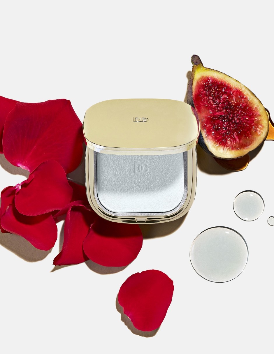 Polvo compacto traslúcido Fig Skin Perfector 6