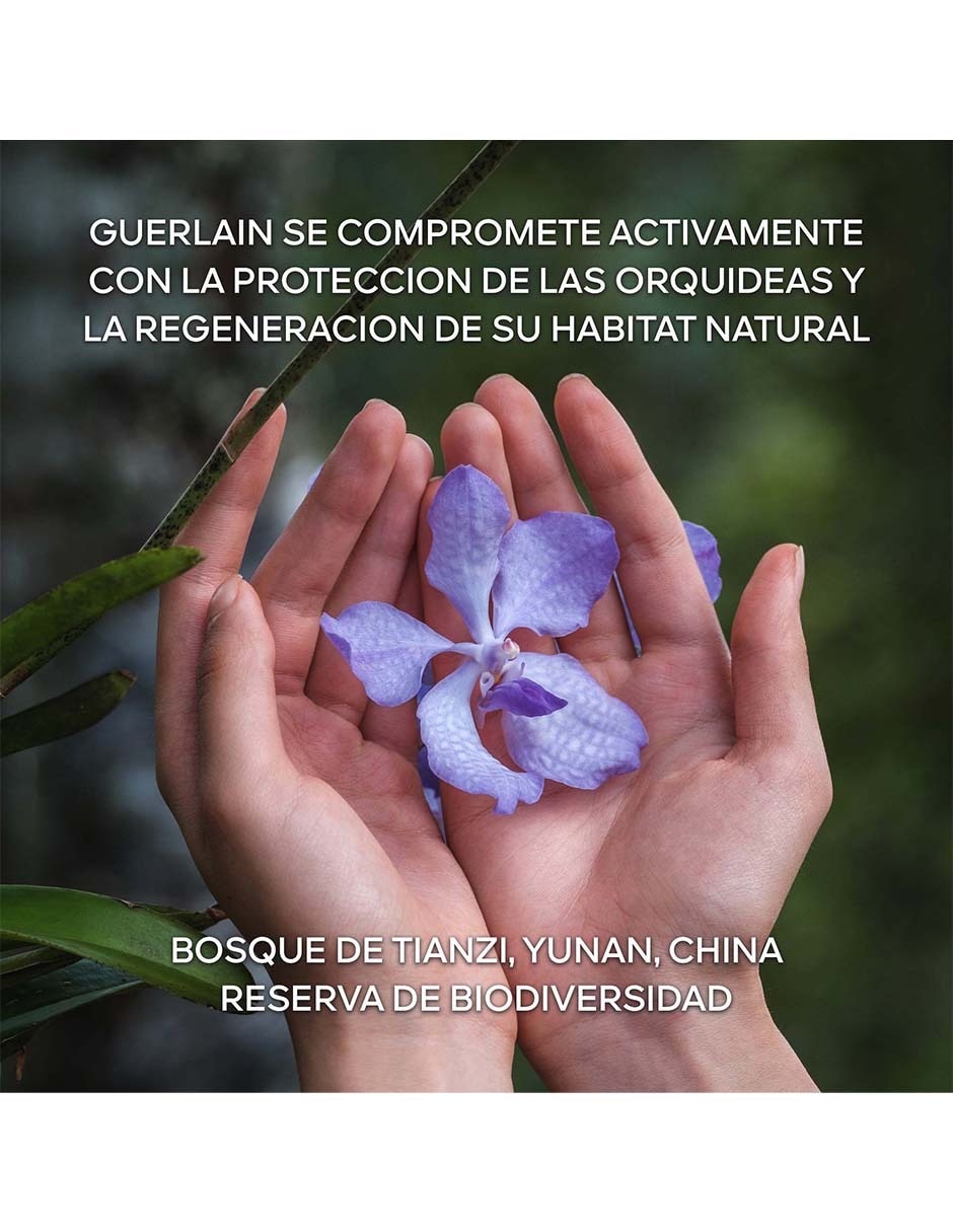 Tratamiento facial Orchidée Impériale The Longevity Cream antiedad Orchidée Impériale 10