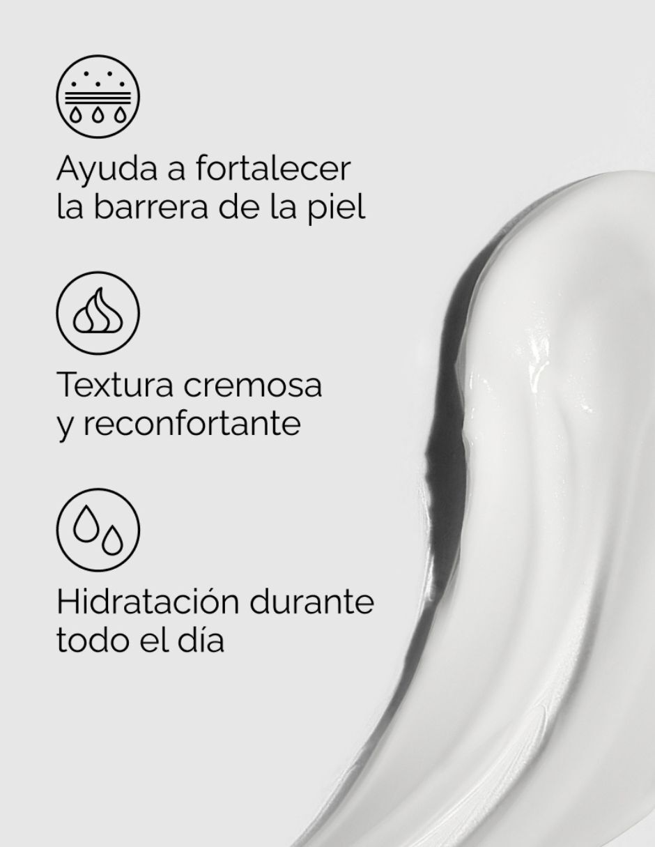 Tratamiento facial Natural Moisturizing Factors + Phytoceramides (Crema Con Factores Naturales De Hidratación + Fitoceramidas) hidratante 2
