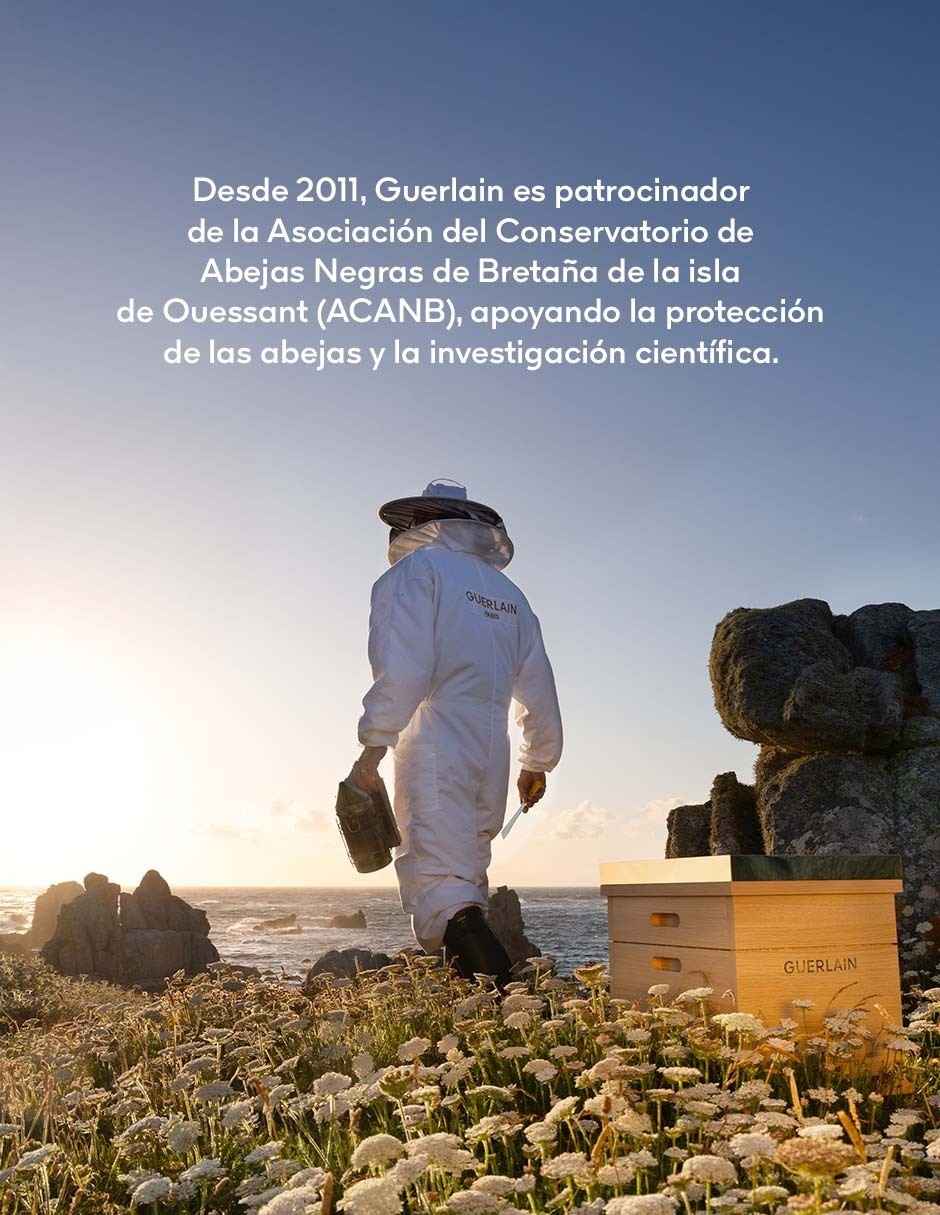 Crema para ojos recomendada para día y noche Abeille Royale para todo tipo de piel 9